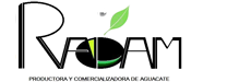 Venta de Aguacate Hass Michoacano, Avocado Productor | Venta de Aguacate Hass Michoacano